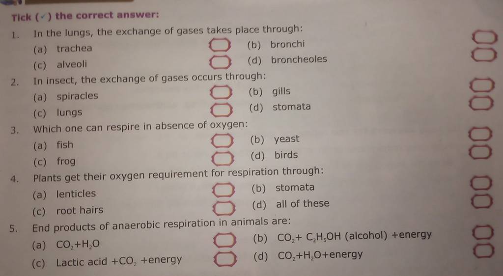 End products of anaerobic respiration in animals are filo