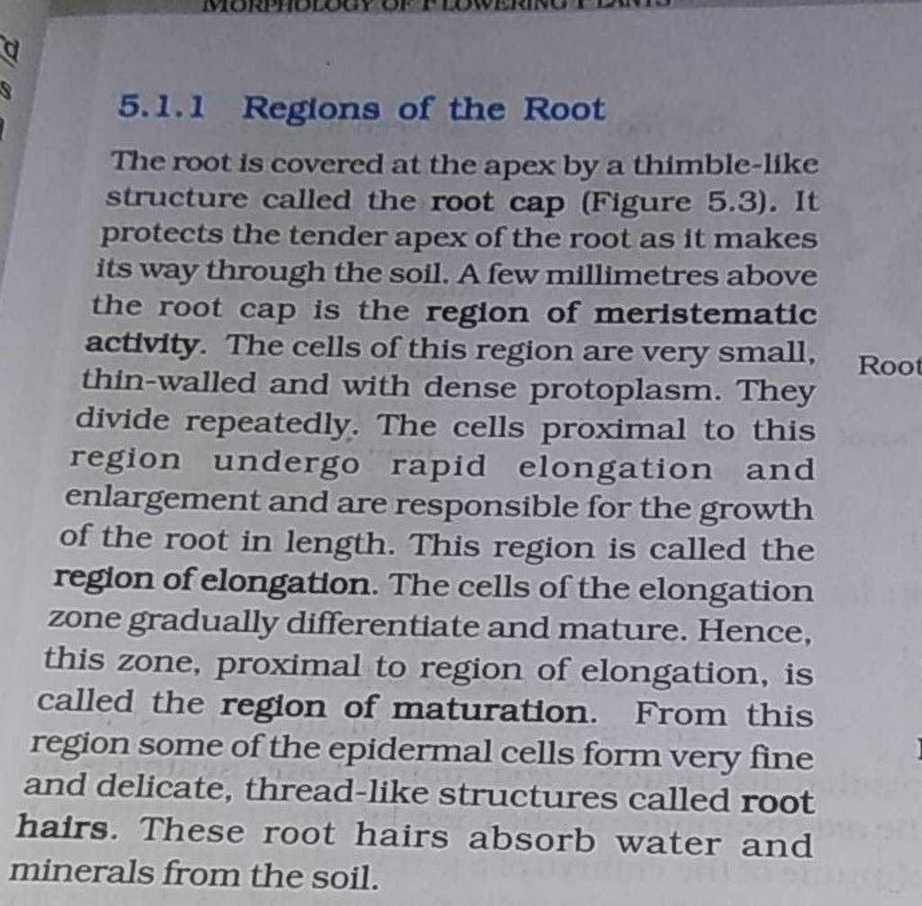 5.1.1 Regions of the Root The root is covered at the apex by a thimbleli..
