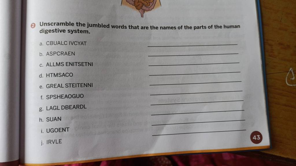 Unscramble the jumbled words that are the names of the parts of the huma..