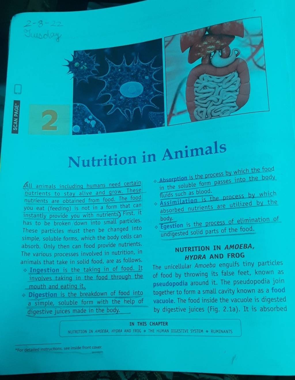 2−8−22 Nutrition in Animals A. All animals including humans need certain