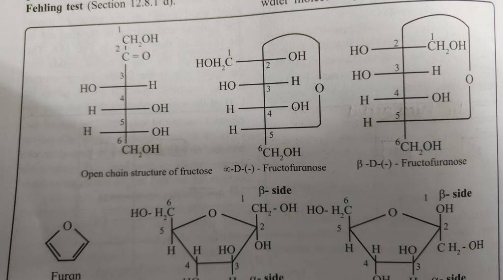 Fehling test (Section 12.8.1a ). Open chain structure of fructose ∝−D−(−)..