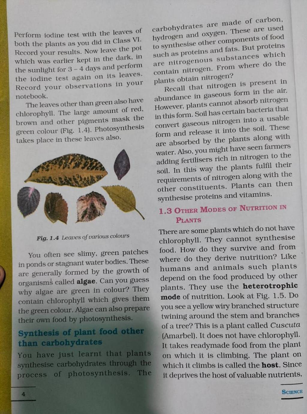 Perform iodine test with the leaves of carbohydrates are made of carbon,