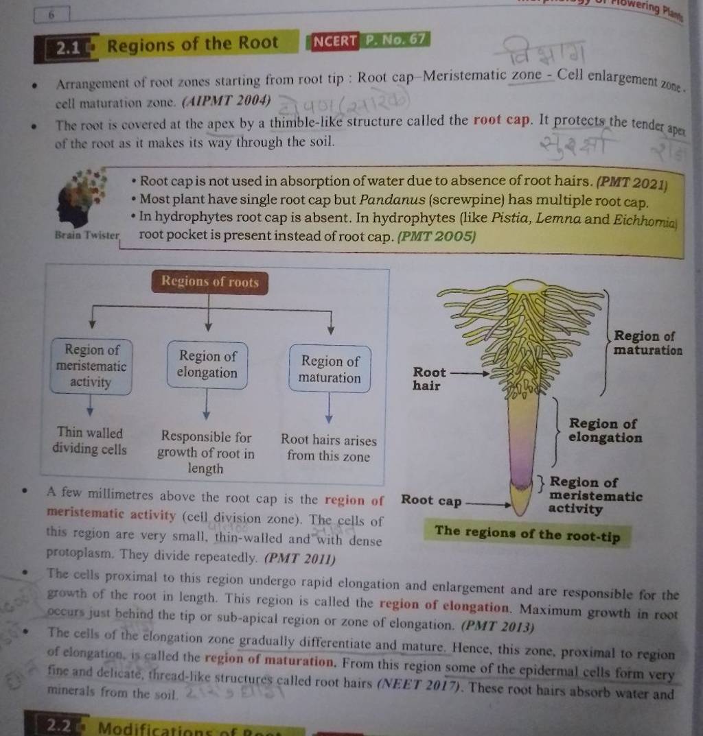 6 2.1 Regions of the Root NCERT P. No.67 Arrangement of root zones star..