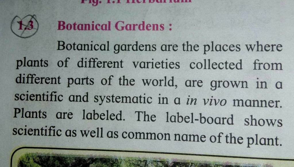 (13) Botanical Gardens: Botanical Gardens Are The Places Where Plants Of