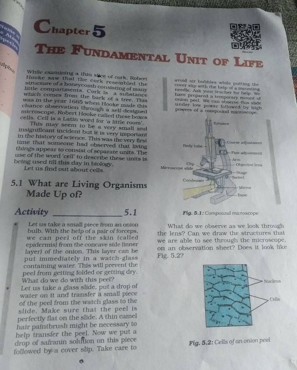 Activity Let us take a small piece from an onion bulb. With the help of a..