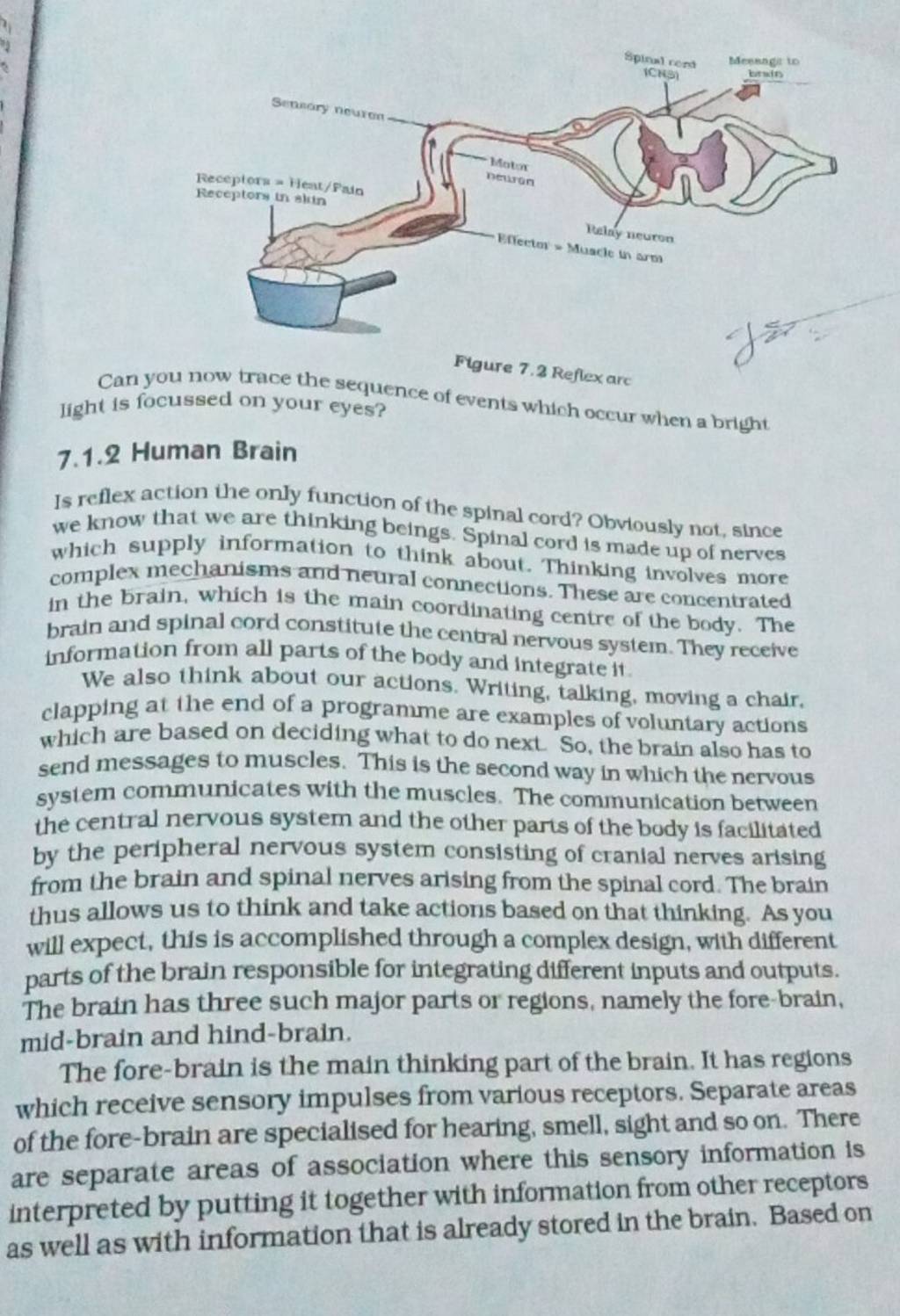 Can you now trace the sequence of events which occur when a bright iight