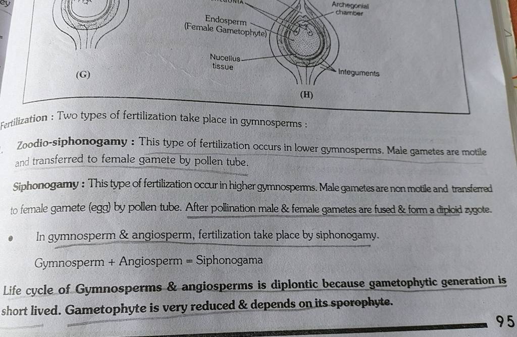 (G) fertilization Two types of fertilization take place in gymnosperms