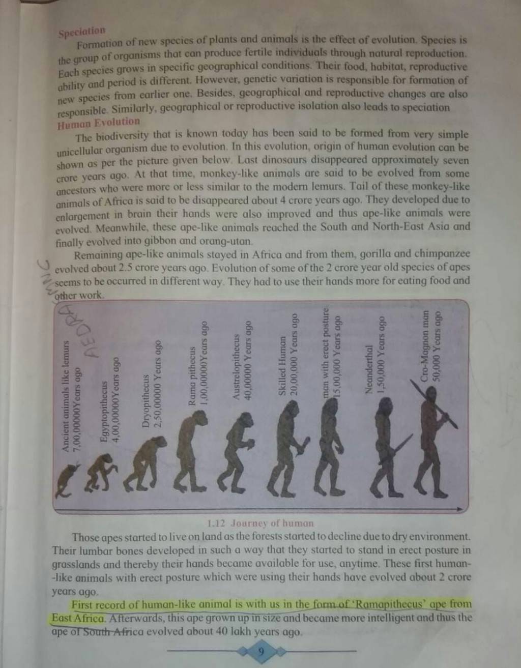 Formation of new species of plants and animals is the effect of evolution..