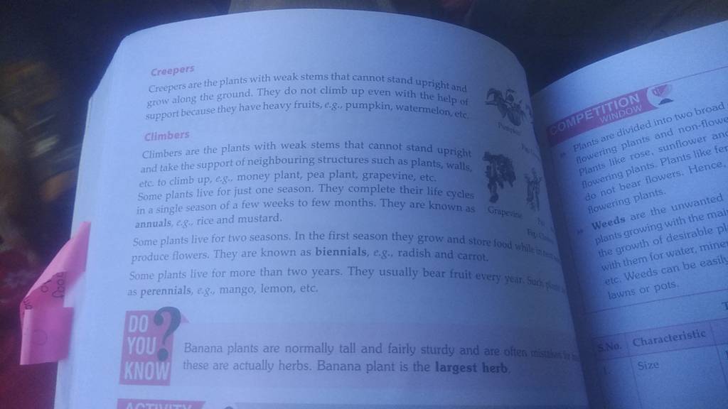 Creepers are the plants with weak stems that cannot stand upright and Gre..