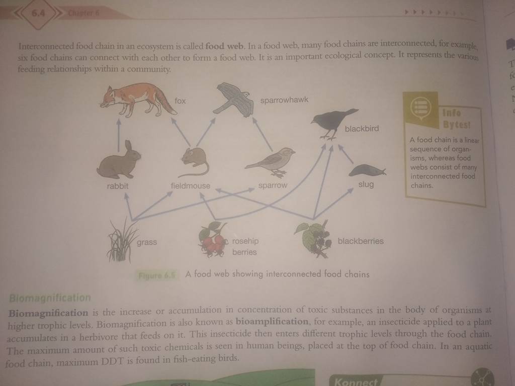 Interconnected food chain in an ecosystem is called food web. In a food w.. Biology Diagrams