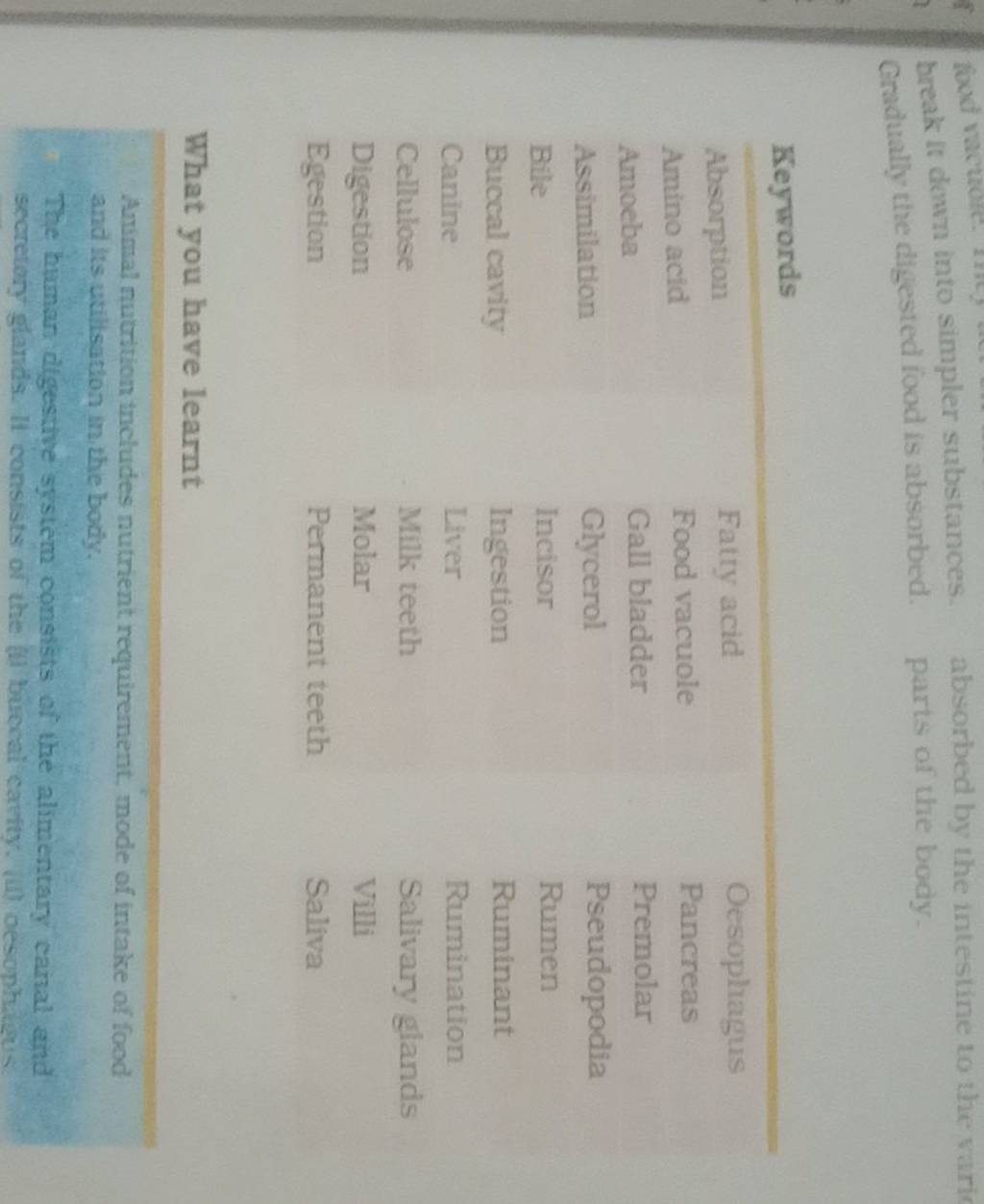 break it down into simpler substances. absorbed by the intestine to the v..