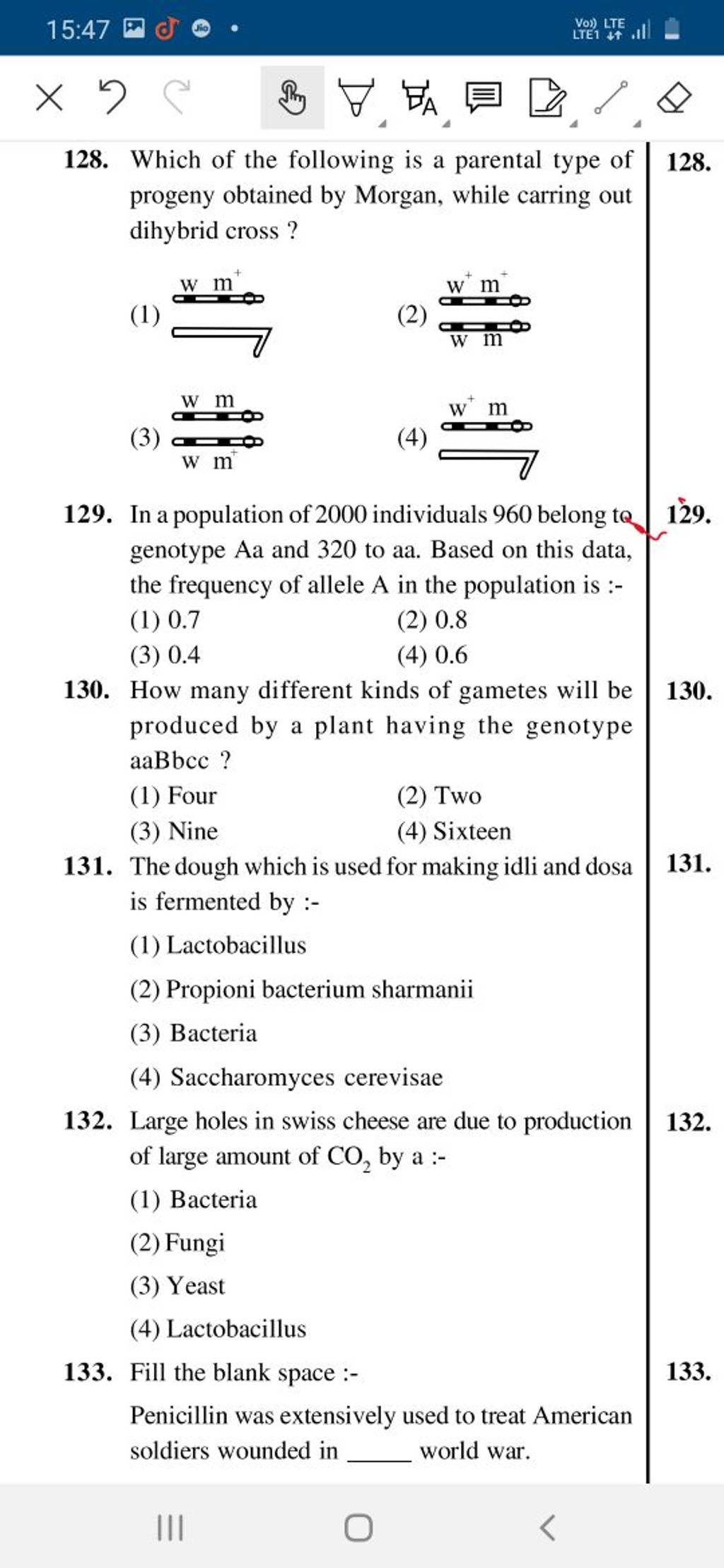 Large holes in swiss cheese are due to production 131. of large amount of..