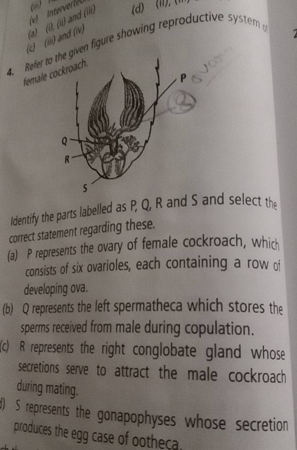 4. Refer to the given figure showing reproductive system female cockroach..