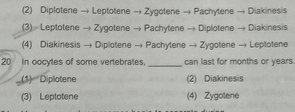 20 In oocytes of some vertebrates, can last for months or years. | Filo