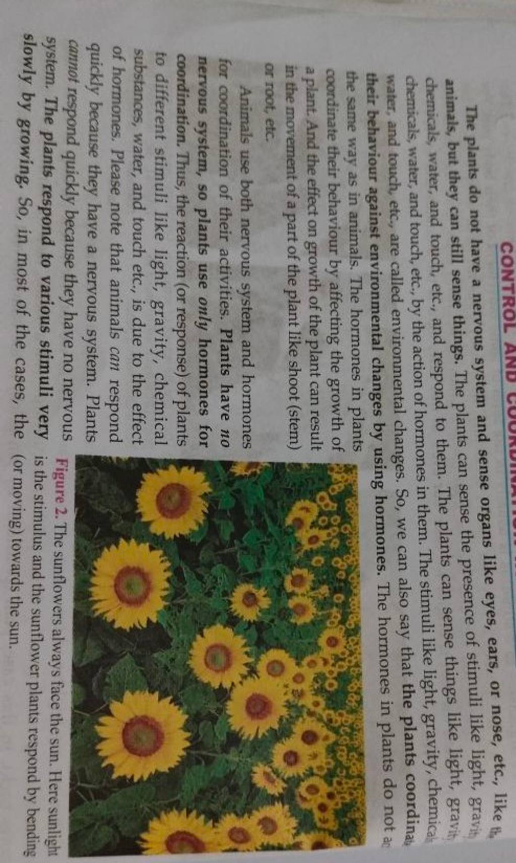 The plants do not have a nervous system and sense organs like eyes, ears,..