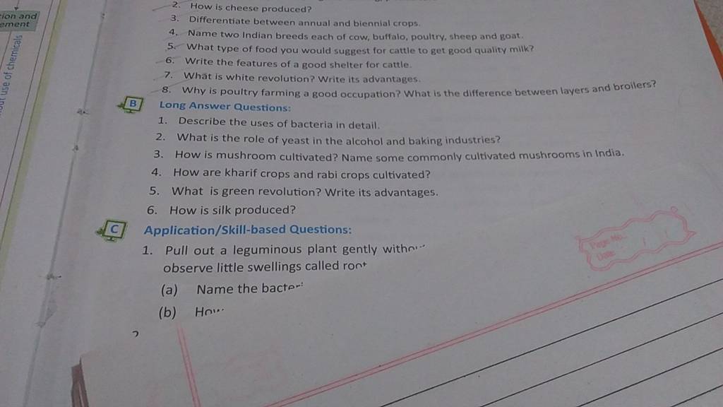 What Is White Revolution