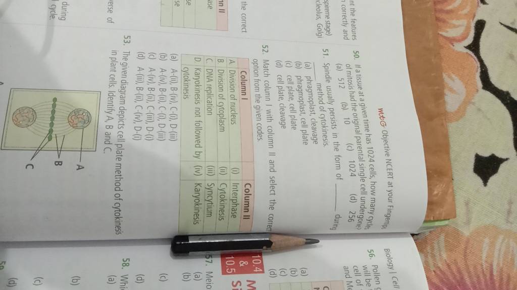 The given diagram depicts cell plate method of cytokinesis in plant cells..