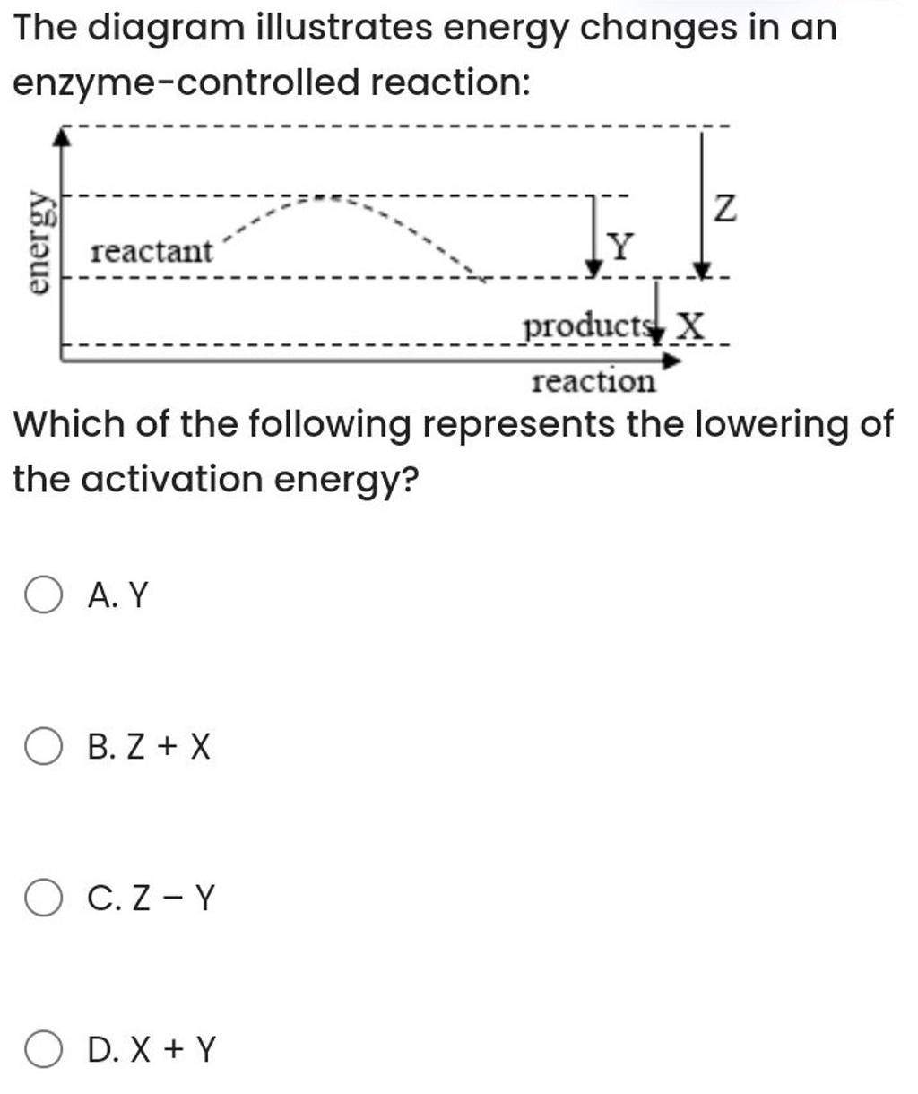The diagram illustrates energy changes in an enzymecontrolled reaction