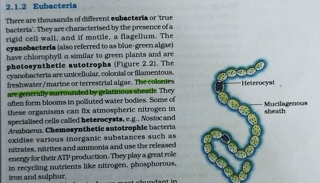 2.1.2 Eubacteria There are thousands of different eubacteria or 'true bac..