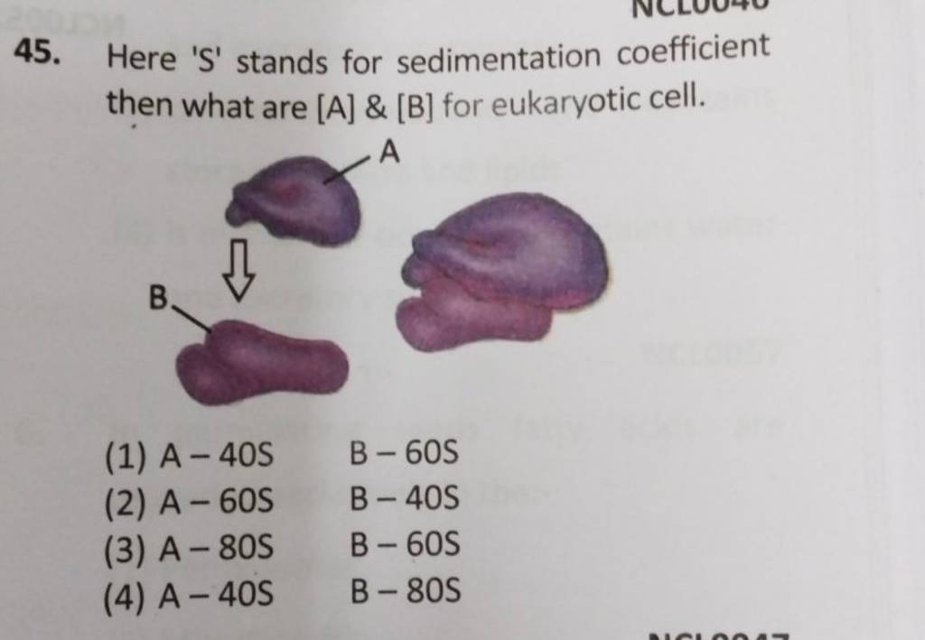 Here 'S' Stands For Sedimentation Coefficient Then What Are [A] \& [B] Fo..