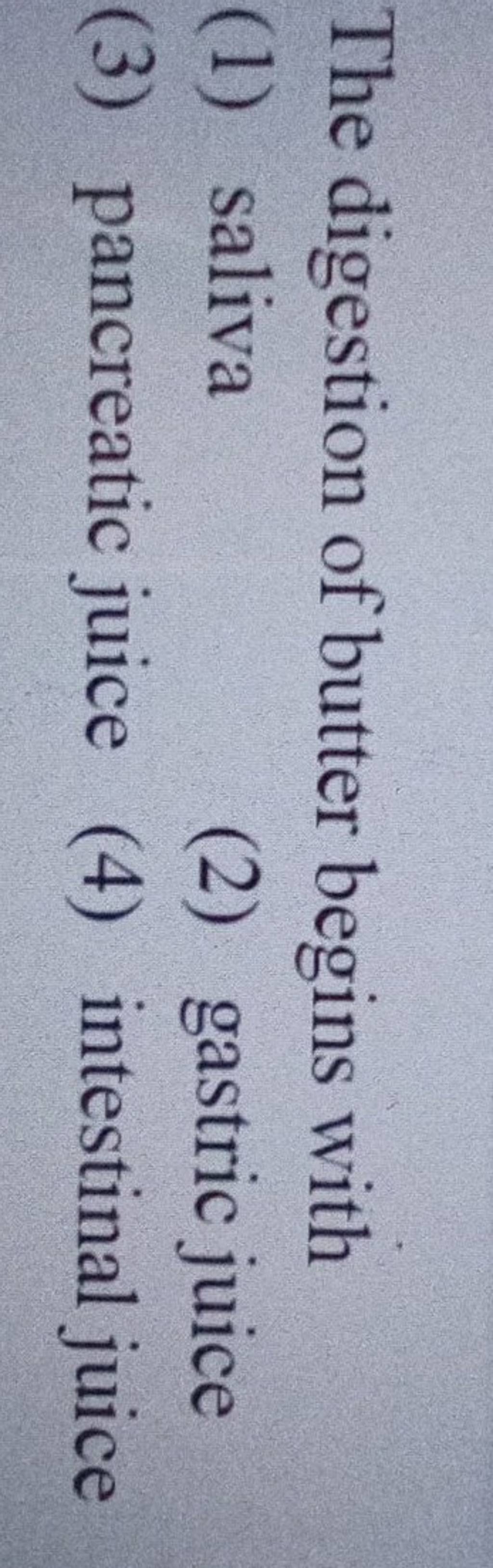 The digestion of butter begins with Filo