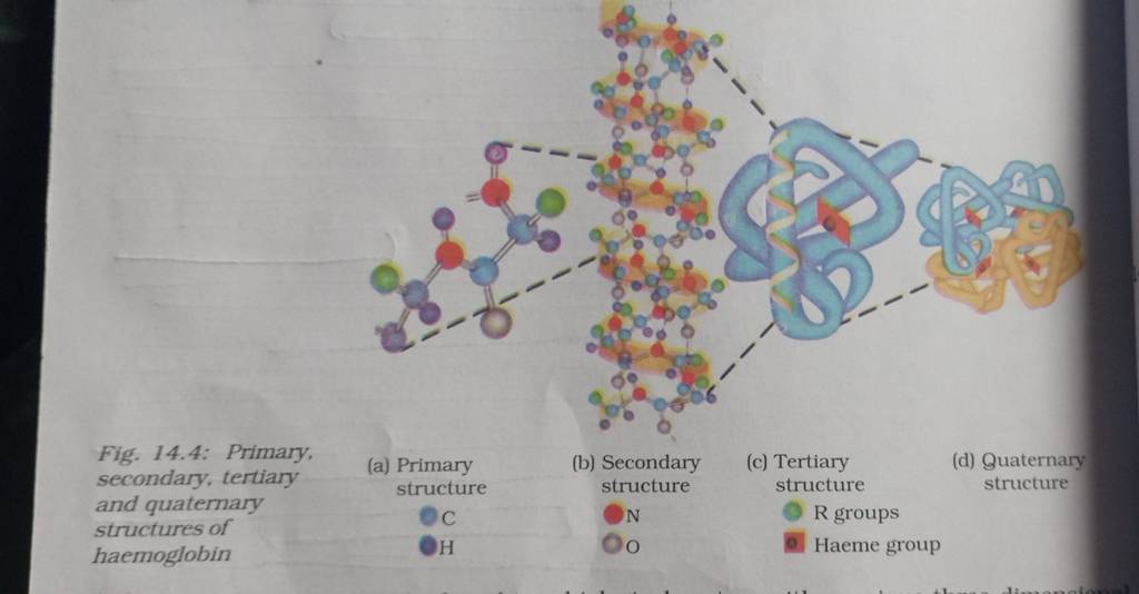 14.4: Primary, secondary, tertiary and quaternary | Filo