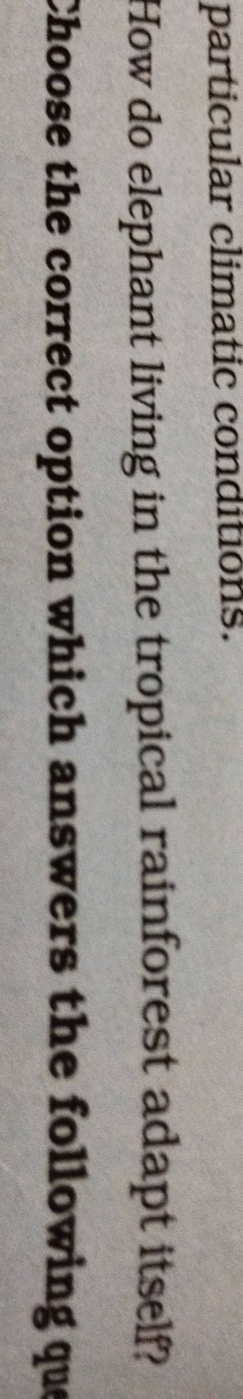 How do elephant living in the tropical rainforest adapt itself? Woose the..