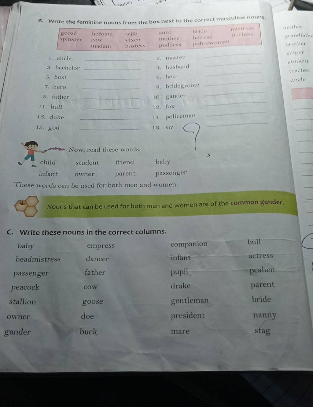 Write the feminine nouns from the box next to the correct masculine nouns..