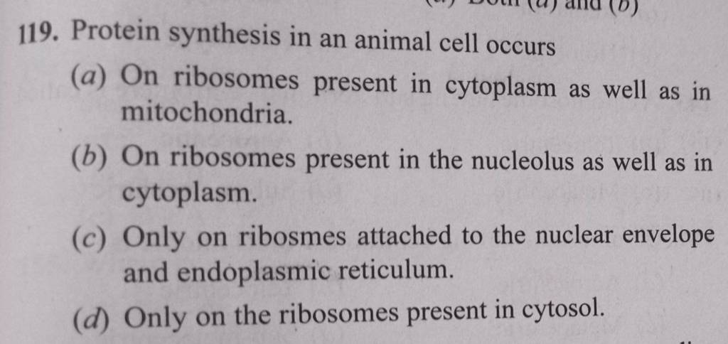 Protein synthesis in an animal cell occurs | Filo