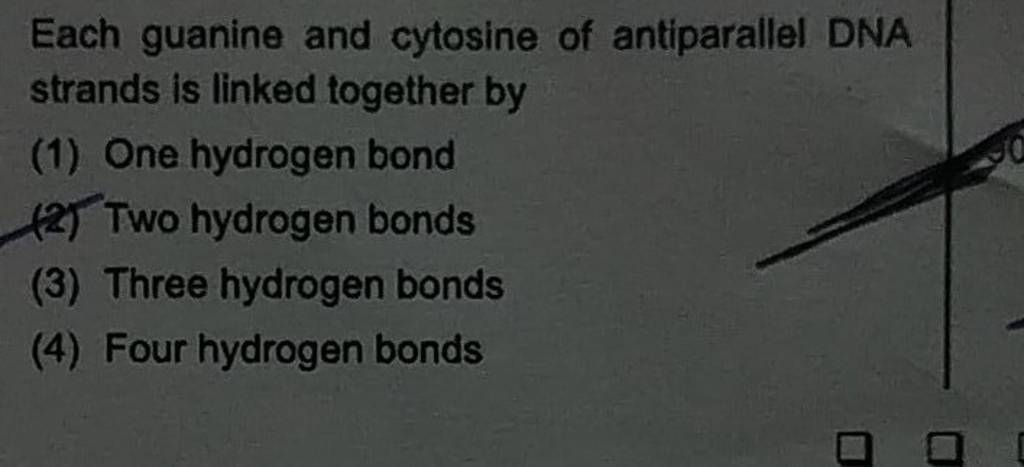 Each guanine and cytosine of antiparallel DNA strands is linked togeth