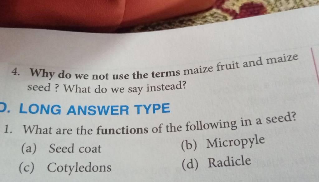 Why do we not use the terms maize fruit and maize seed ? What do we say i..