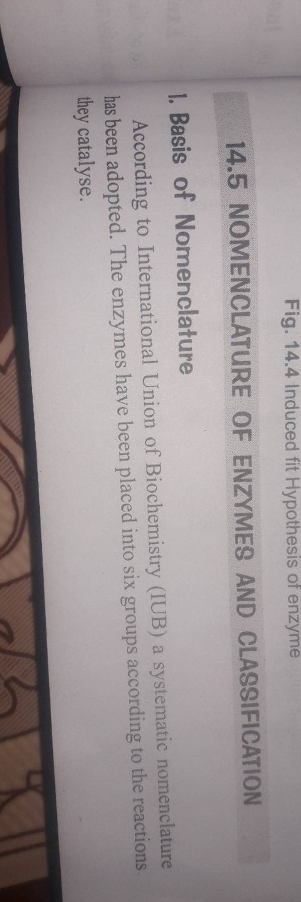 Fig. 14.4 Induced fit Hypothesis of enzyme 14.5 NOMENCLATURE OF ENZYMES A..