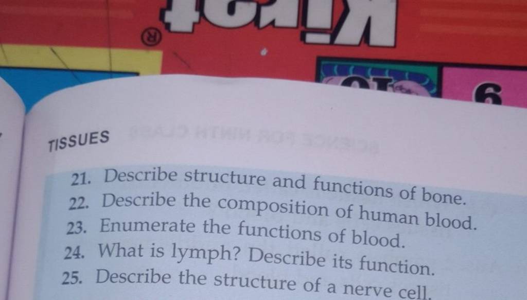 Tissues 21 Describe Structure And Functions Of Bone 22 Describe The Co