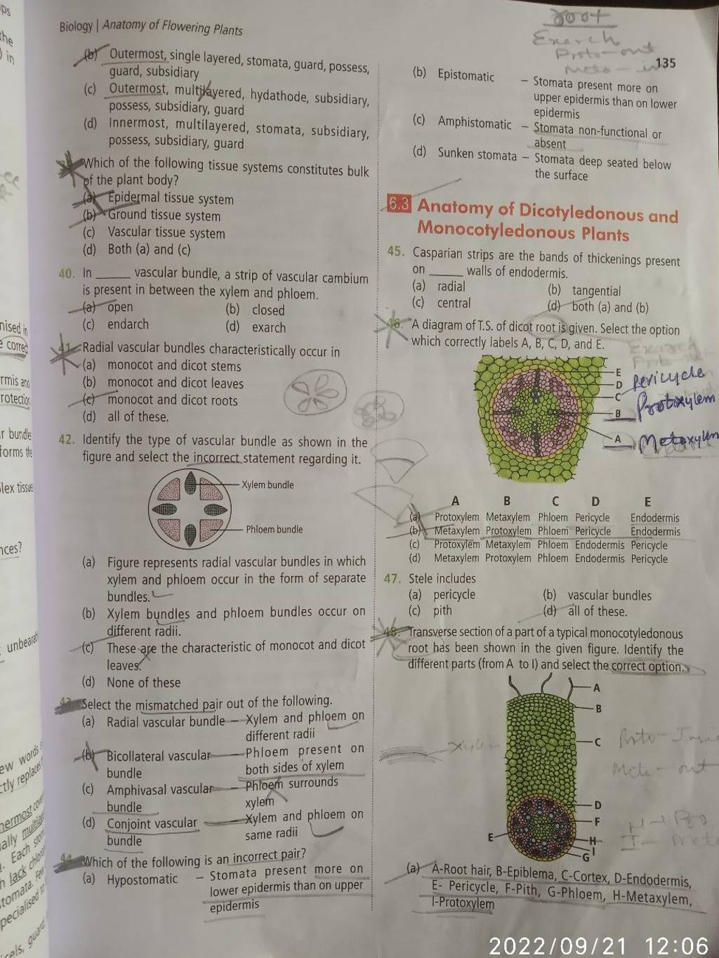 Biology Anatomy Of Flowering Plants Filo