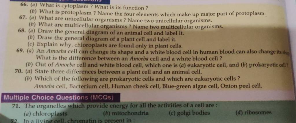 List two differences between a plant cell and an animal cell. | Filo