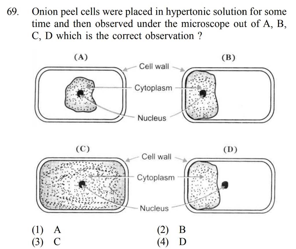 Onion peel cells were placed in hypertonic solution for some time and the..