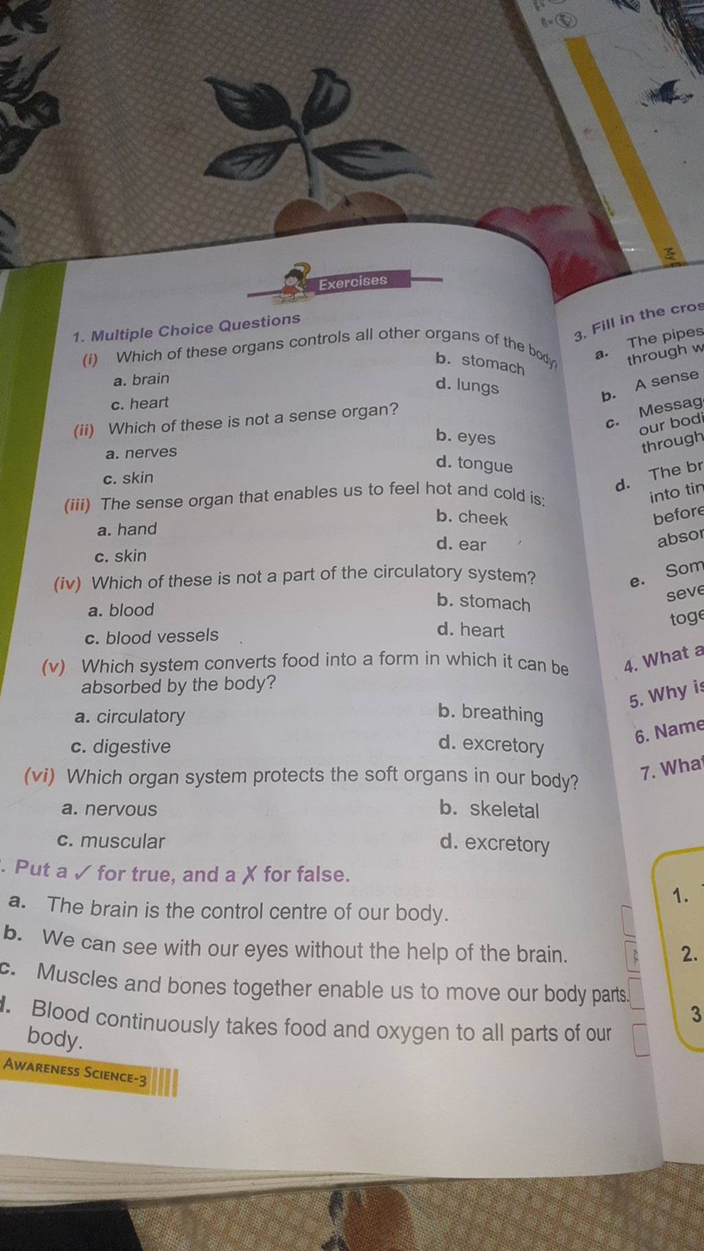 Multiple Choice Questions (i) Which of these organs controls all other or..