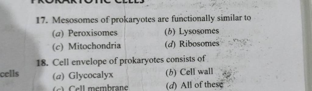 Mesosomes of prokaryotes are functionally similar to | Filo