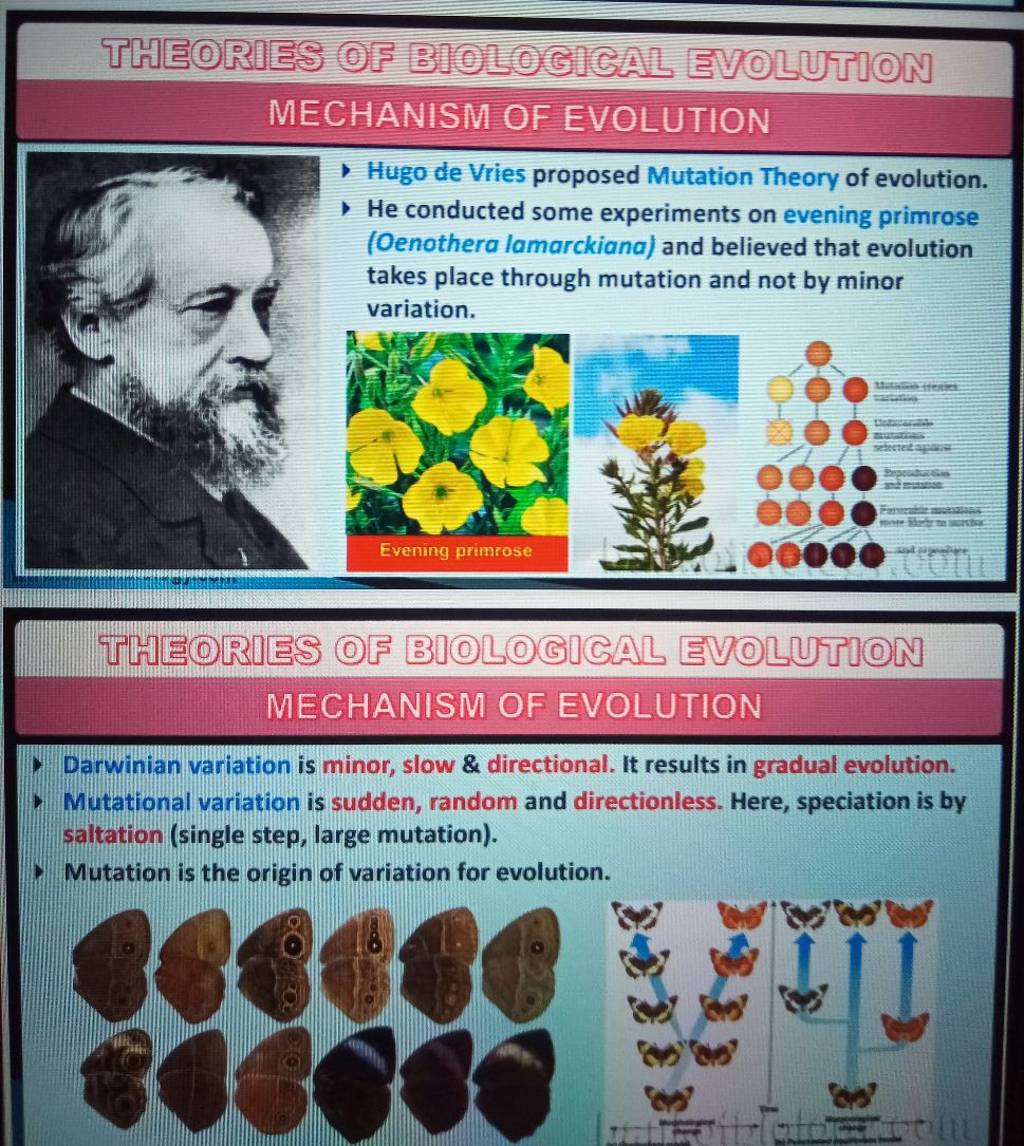 mechanism-of-evolution-mechanism-of-evolution-darwinian-variation-is-mino