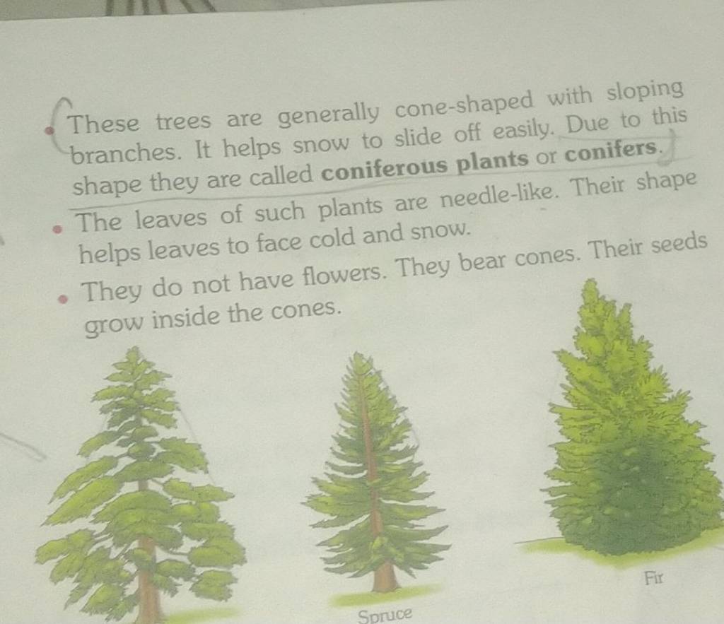  These trees are generally coneshaped with sloping branches. It helps s..