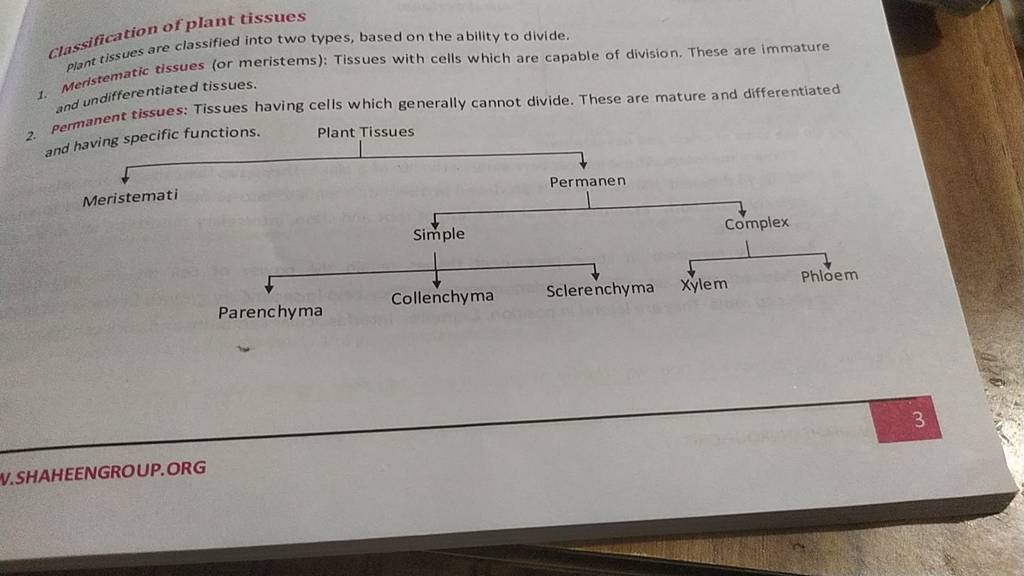 classification of plant tissues plant tissues are classified into two typ..