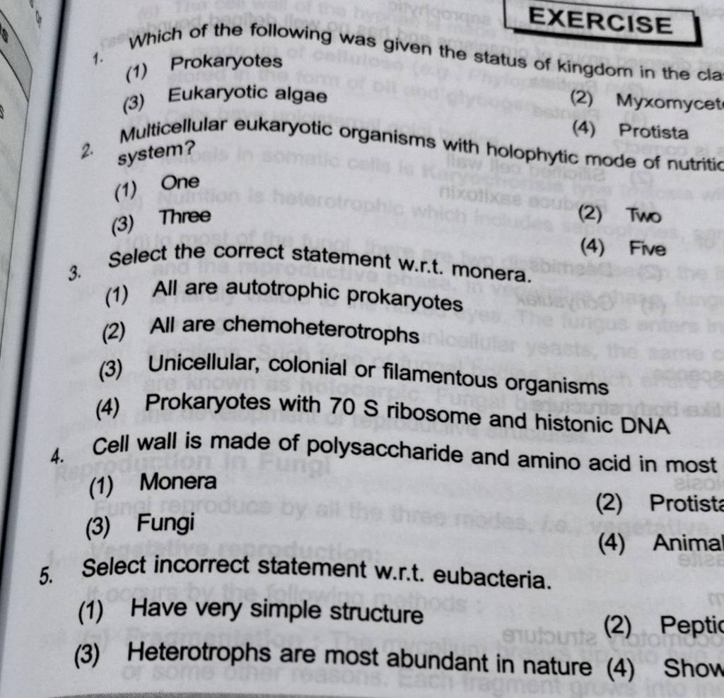 Cell Wall Is Made Of Polysaccharide And Amino Acid In Most 