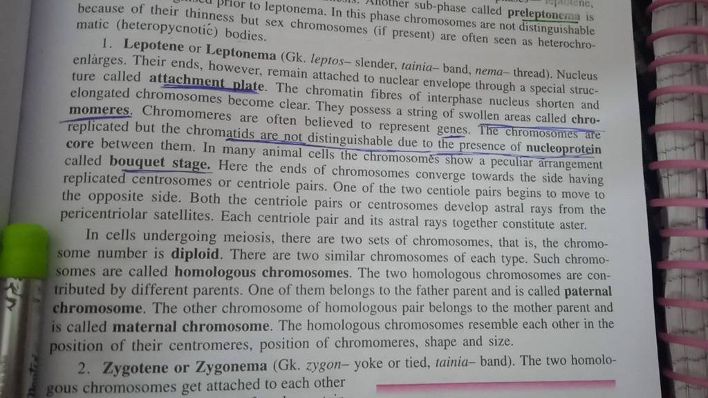 because of their thinness be leptonema. In this phase chromosomes call