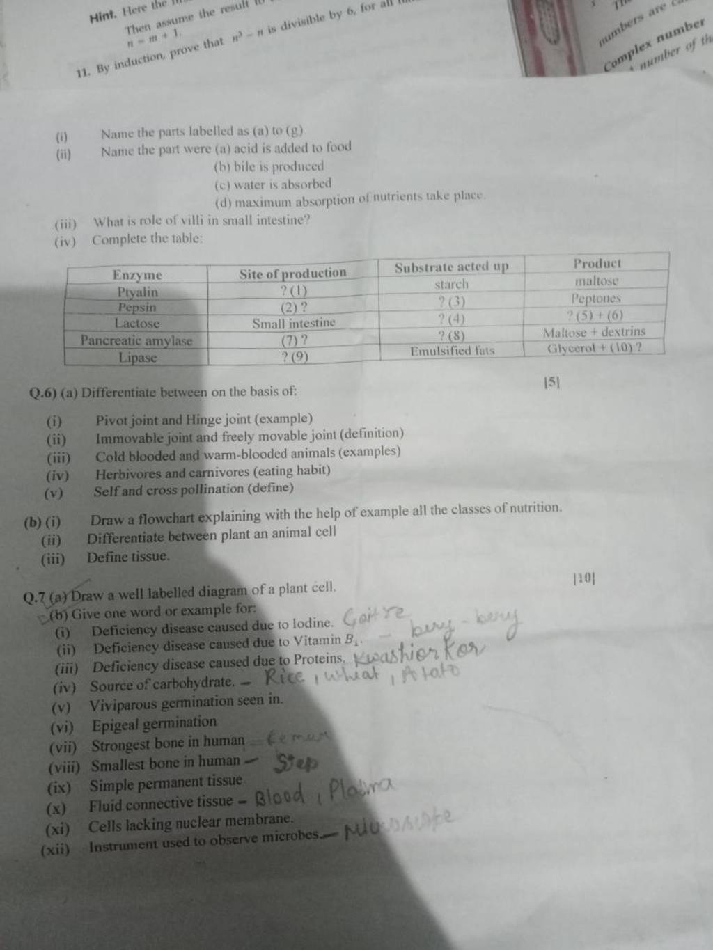 Q.7 (a)Draw A Well Labelled Diagram Of A Plant Cell. |10] (b) Give One Wo..