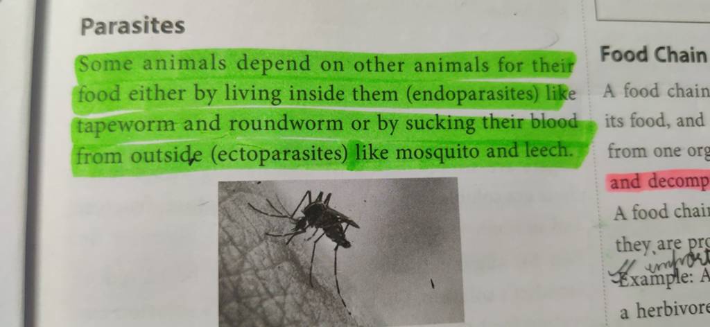 Parasites Some animals depend on other animals for their Food Chain food Biology Diagrams