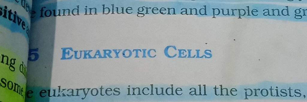 found in blue green and purple and g
EUKARYOTIC CELLS
Sombe eukaryotes