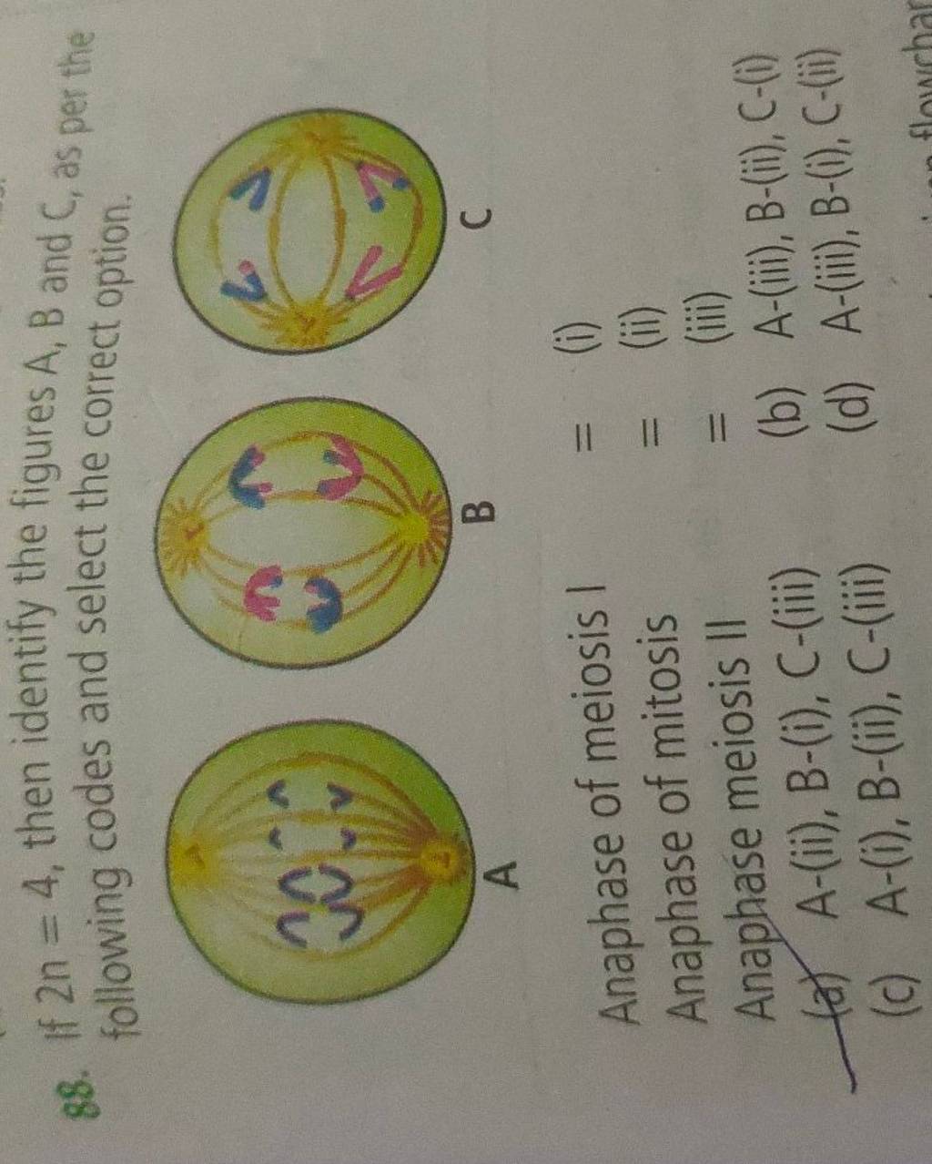 If 2n=4, then identify the figures A,B and C, as per the following codes