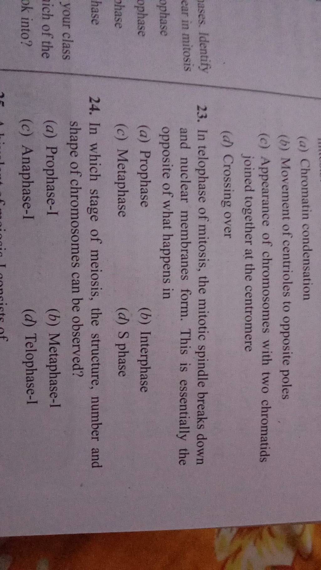In telophase of mitosis, the mitotic spindle breaks down and nuclear memb..