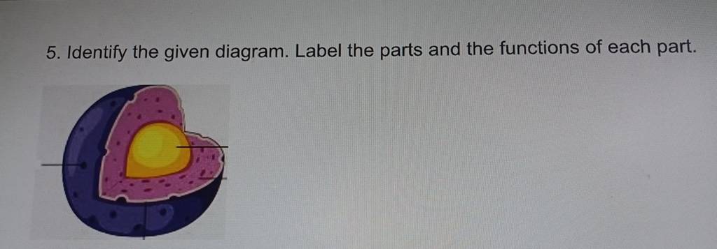 5. Identify the given diagram. Label the parts and the functions of each