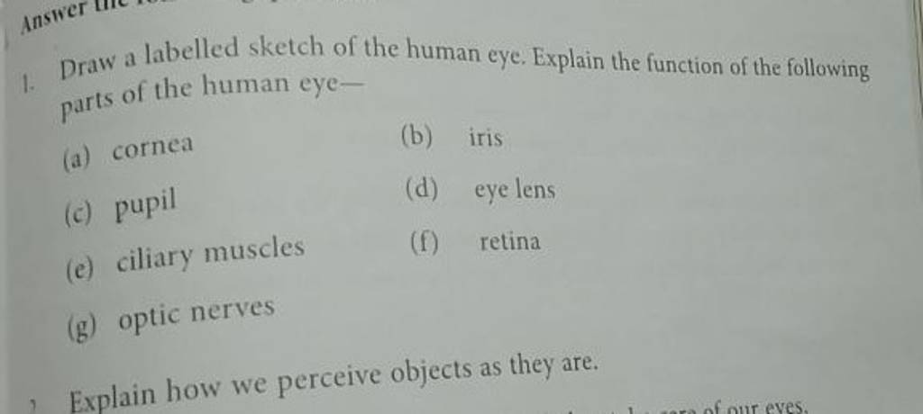 draw a labelled sketch of the human eye and explain it